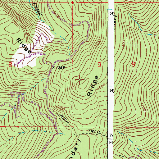 Topographic Map of Boundary Ridge, WA