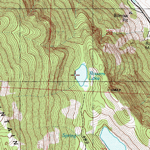 Topographic Map of Bowers Lake, WA