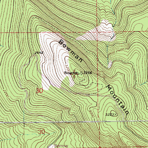 Topographic Map of Bowman Mountain, WA