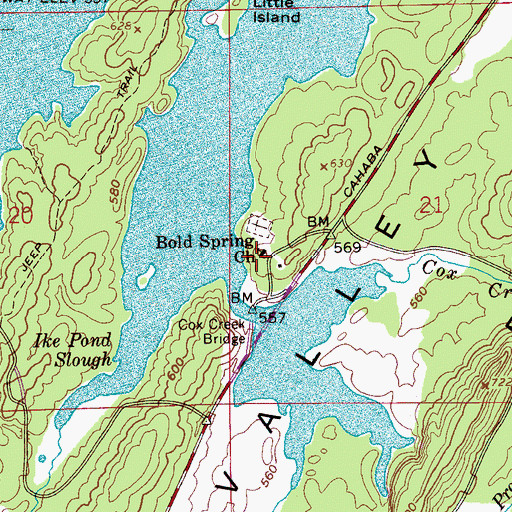 Topographic Map of Bold Spring Presbyterian Church, AL