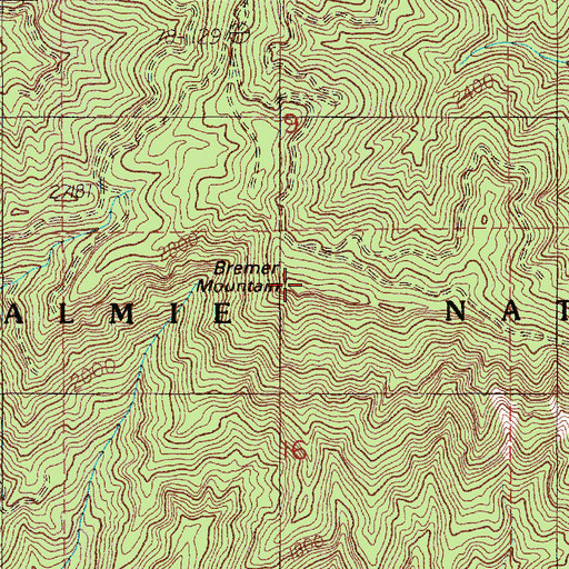Topographic Map of Bremer Mountain, WA