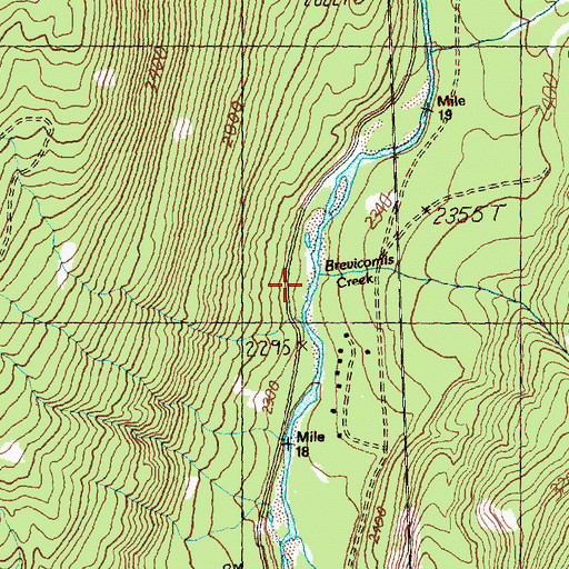 Topographic Map of Brevicomis Creek, WA