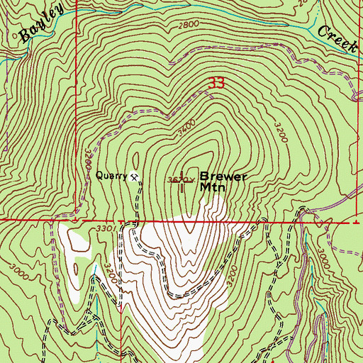 Topographic Map of Brewer Mountain, WA