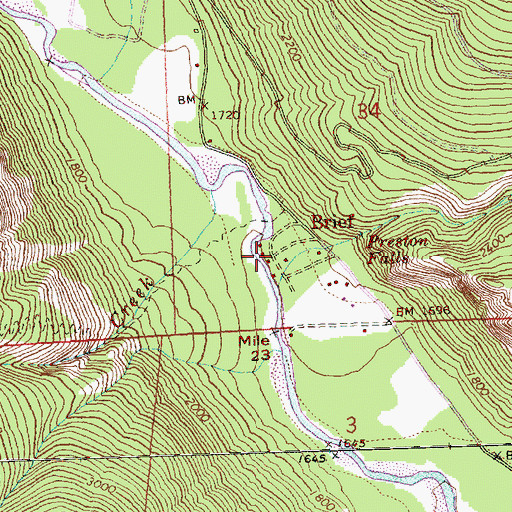 Topographic Map of Brief, WA