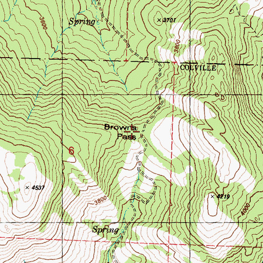 Topographic Map of Browns Pass, WA