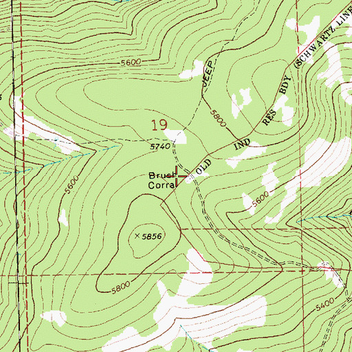 Topographic Map of Brush Corral, WA
