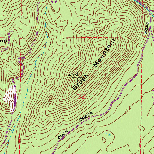 Topographic Map of Brush Mountain, WA