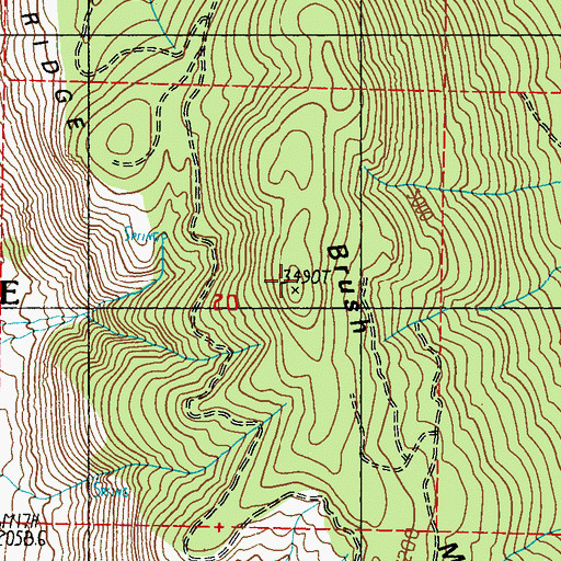 Topographic Map of Brush Mountain, WA