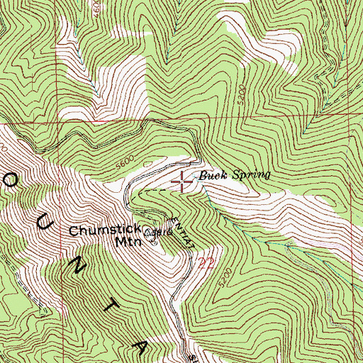 Topographic Map of Buck Spring, WA