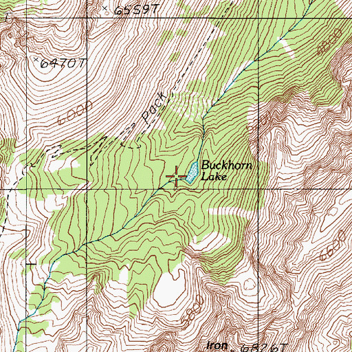 Topographic Map of Buckhorn Lake, WA