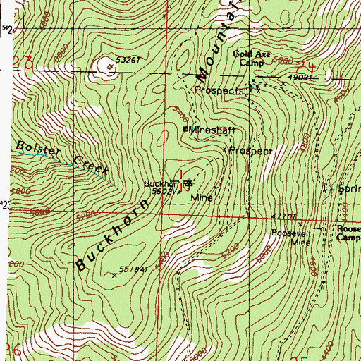 Topographic Map of Buckhorn Mountain, WA