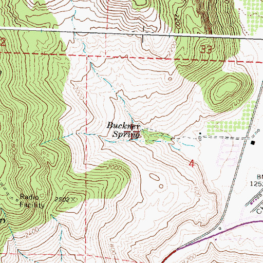 Topographic Map of Buckner Spring, WA