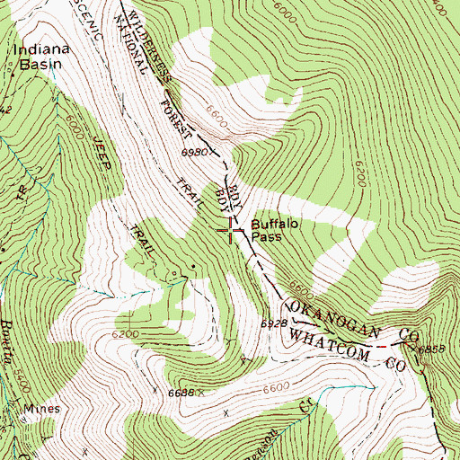 Topographic Map of Buffalo Pass, WA