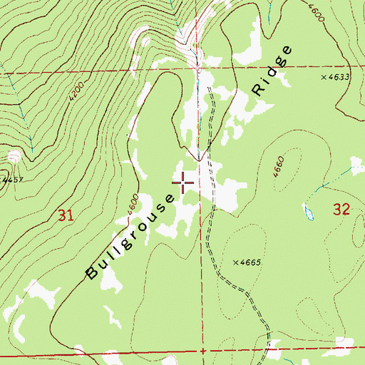 Topographic Map of Bullgrouse Ridge, WA