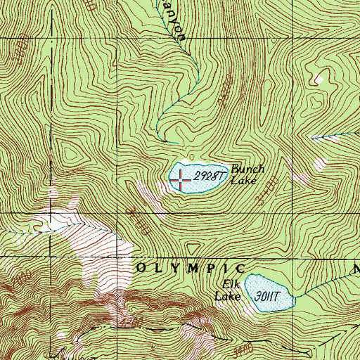 Topographic Map of Bunch Lake, WA