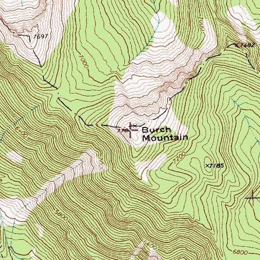 Topographic Map of Burch Mountain, WA