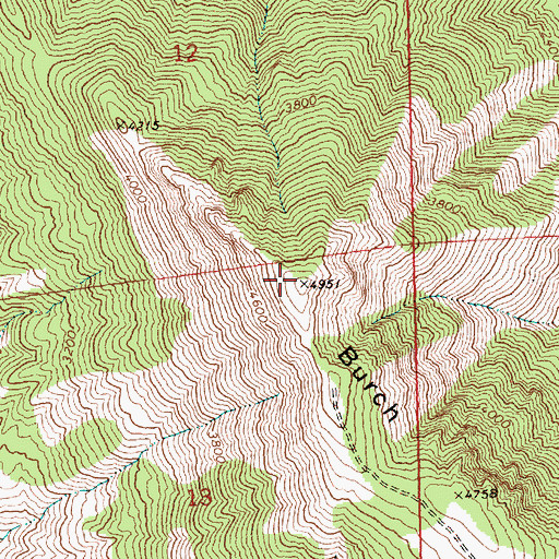 Topographic Map of Burch Mountain, WA