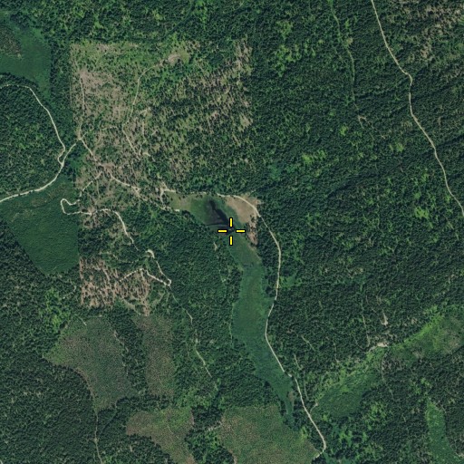 Aerial/Satellite Image of Burgess Meadow, WA