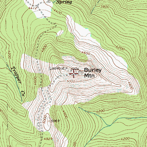 Topographic Map of Burley Mountain, WA