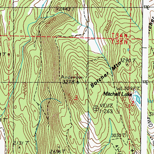 Topographic Map of Butcher Mountain, WA