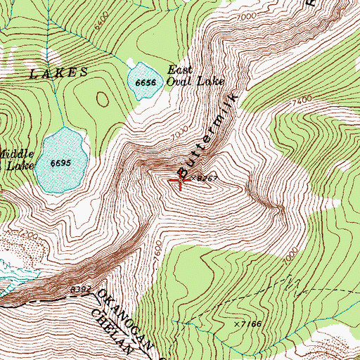 Topographic Map of Buttermilk Ridge, WA