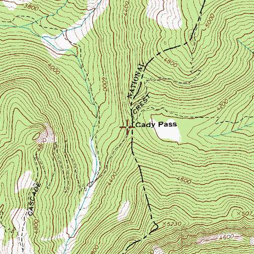 Topographic Map of Cady Pass, WA