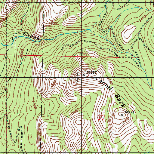 Topographic Map of Camel Back, WA