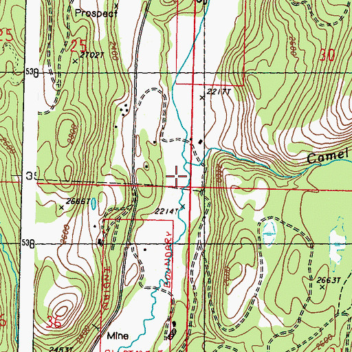 Topographic Map of Camel Creek, WA