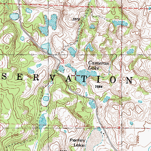 Topographic Map of Cameron Lake, WA