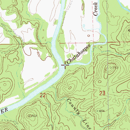 Topographic Map of Chatahospee Creek, AL