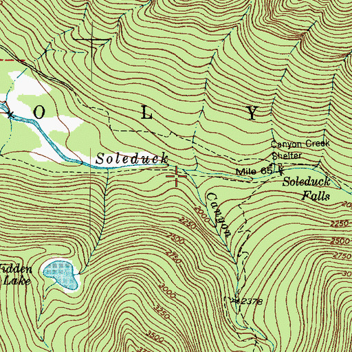 Topographic Map of Canyon Creek, WA