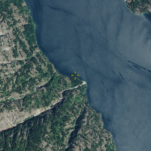 Aerial/Satellite Image of Canyon Creek, WA