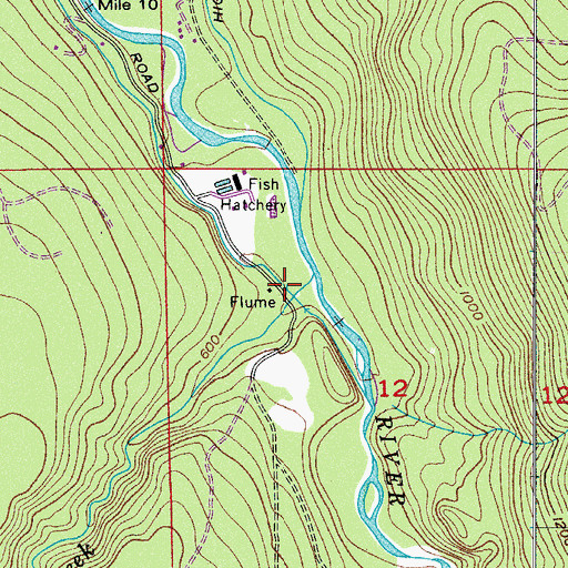 Topographic Map of Canyon Creek, WA
