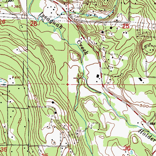 Topographic Map of Carey Creek, WA