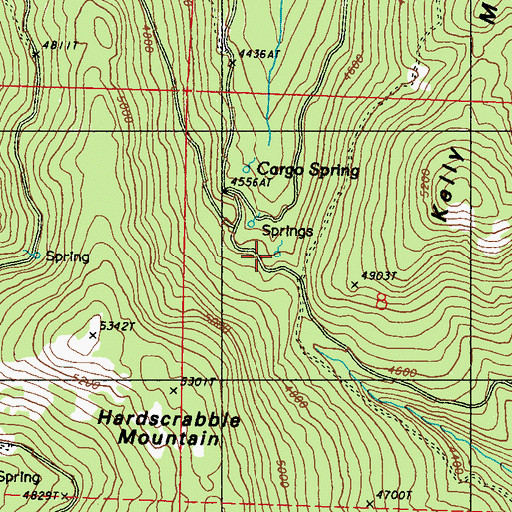 Topographic Map of Cargo Spring, WA