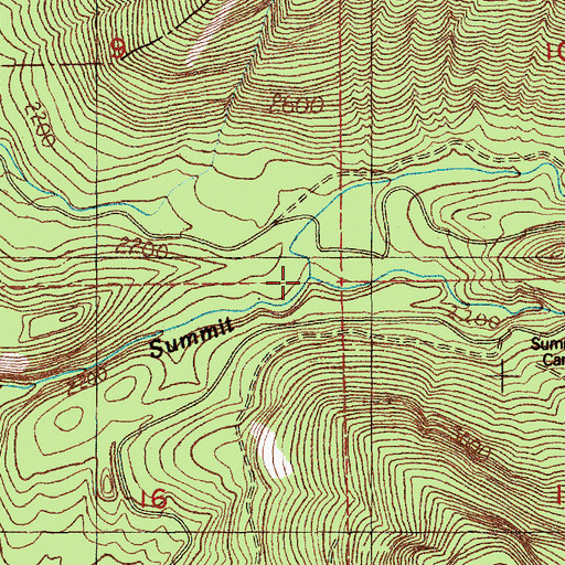 Topographic Map of Carlton Creek, WA