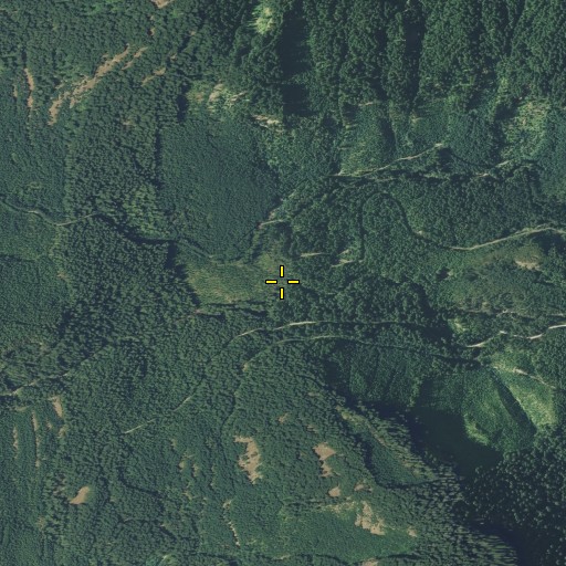 Aerial/Satellite Image of Carlton Creek, WA