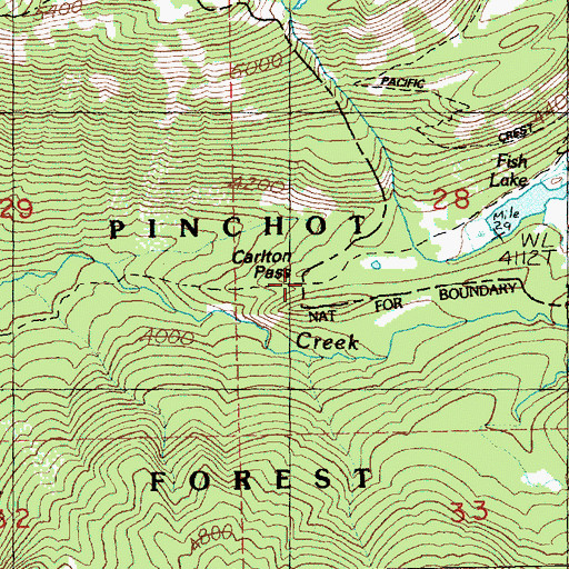 Topographic Map of Carlton Pass, WA