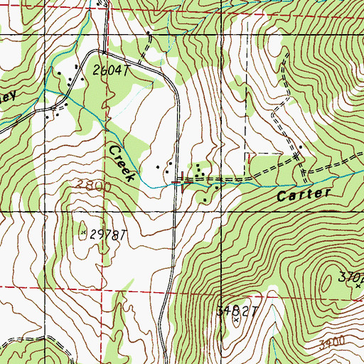 Topographic Map of Carter Canyon, WA