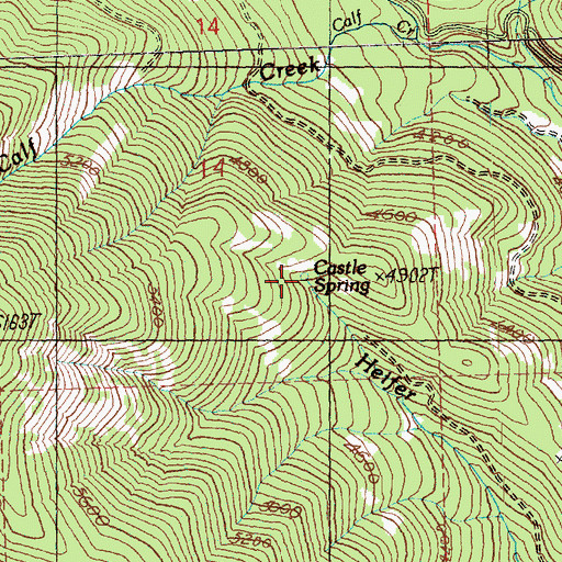 Topographic Map of Castle Spring, WA