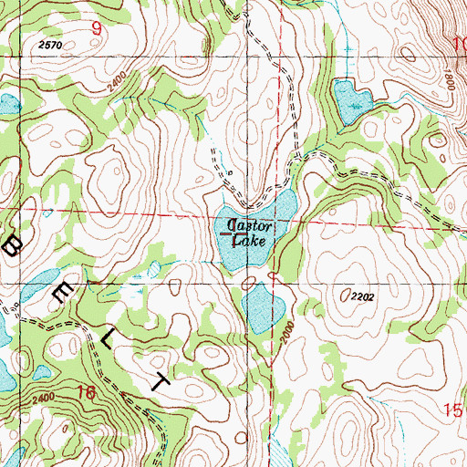 Topographic Map of Castor Lake, WA