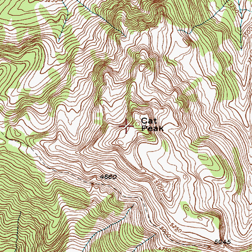 Topographic Map of Cat Peak, WA