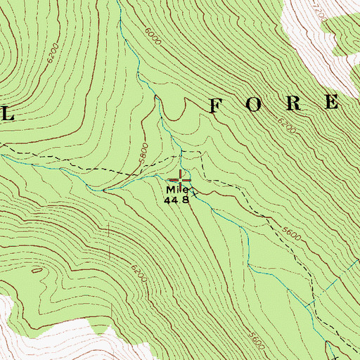 Topographic Map of Cathedral Creek, WA