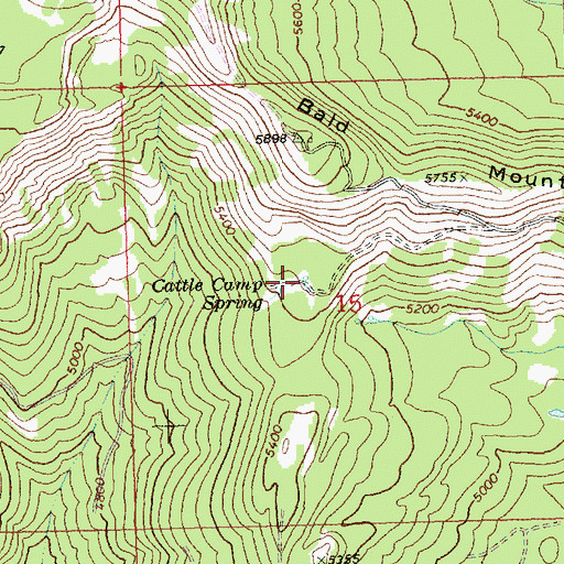 Topographic Map of Cattle Camp Spring, WA