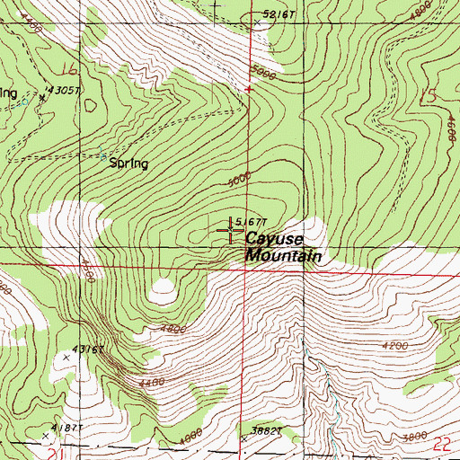 Topographic Map of Cayuse Mountain, WA