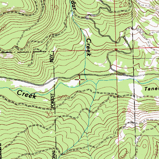 Topographic Map of Cedar Creek, WA