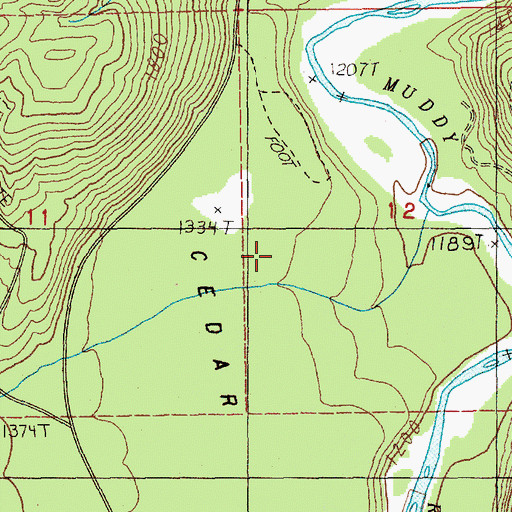 Topographic Map of Cedar Flats Natural Area, WA