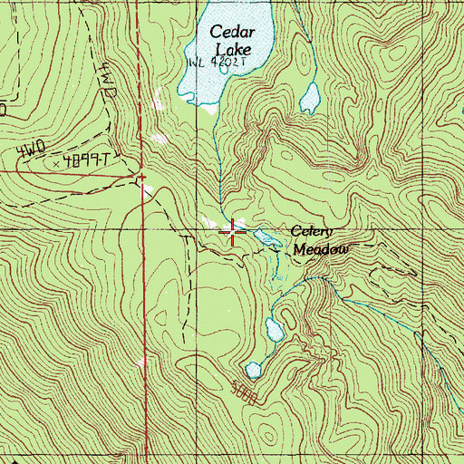 Topographic Map of Celery Meadow, WA