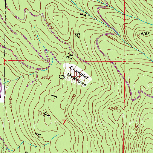 Topographic Map of Chandler Meadows, WA