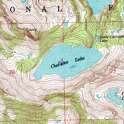 Topographic Map of Chetwoot Lake, WA